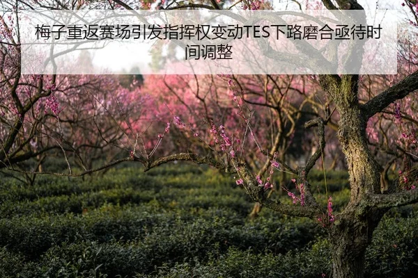 梅子重返赛场引发指挥权变动TES下路磨合亟待时间调整