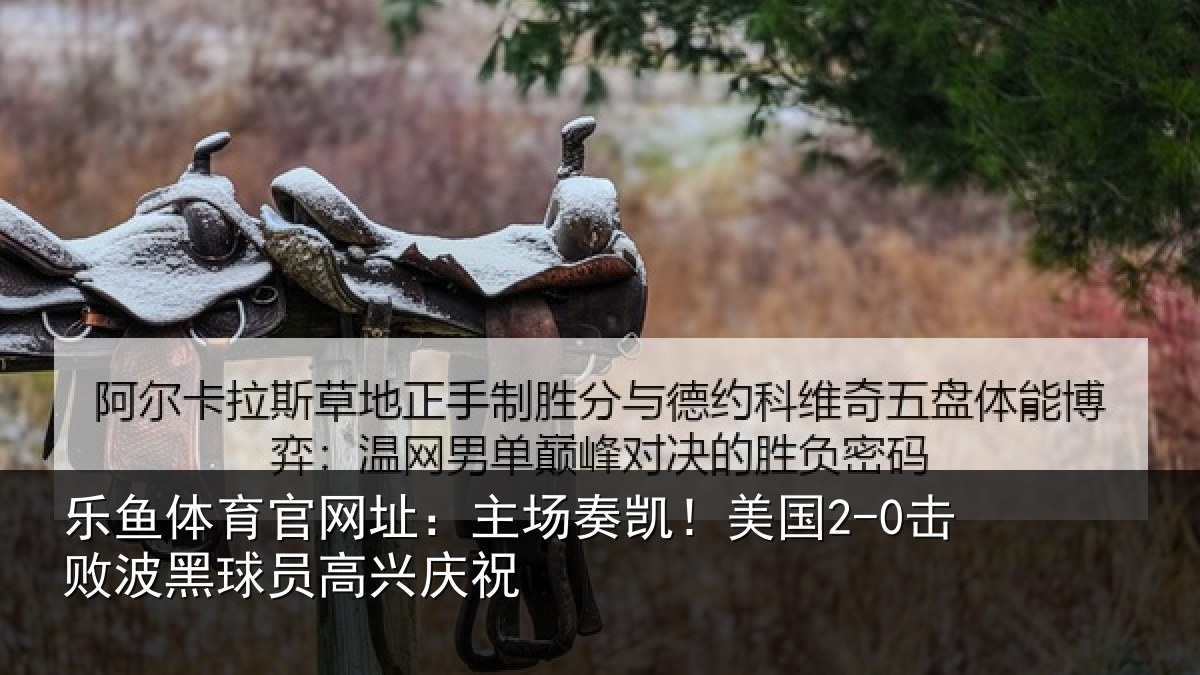 乐鱼体育官网址：主场奏凯！美国2-0击败波黑球员高兴庆祝