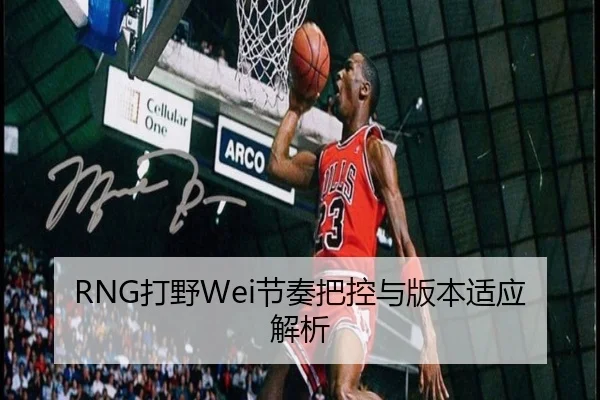RNG打野Wei节奏把控与版本适应解析