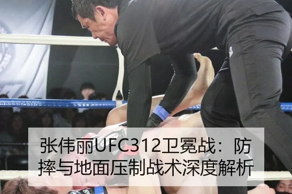 张伟丽UFC312卫冕战：防摔与地面压制战术深度解析