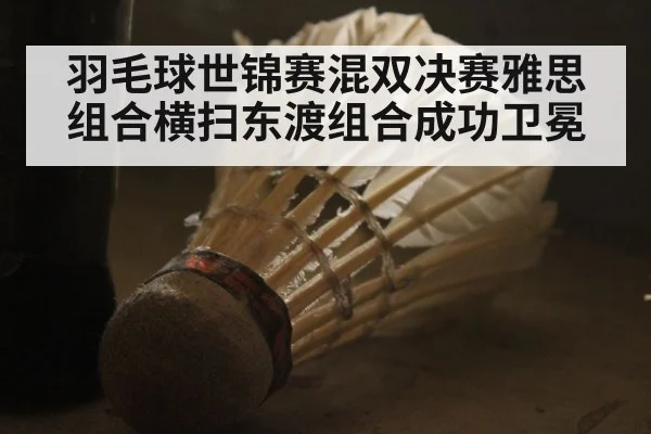 羽毛球世锦赛混双决赛雅思组合横扫东渡组合成功卫冕